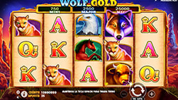 Wolf Gold a Midas Luck kaszinóban